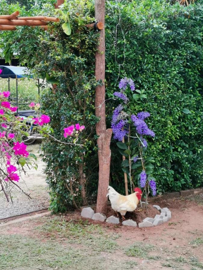 Krabilife Resort Ban Ko Kwang Buitenkant foto