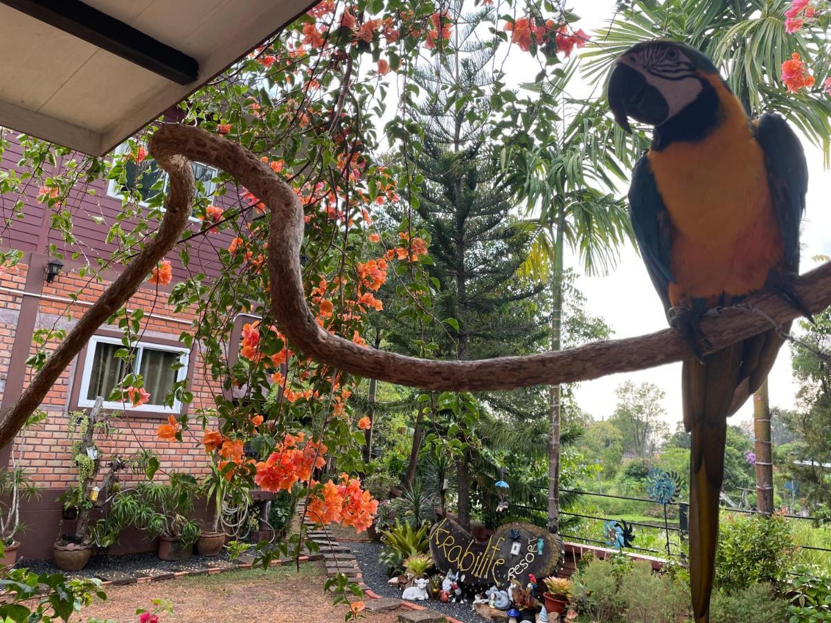 Krabilife Resort Ban Ko Kwang Buitenkant foto