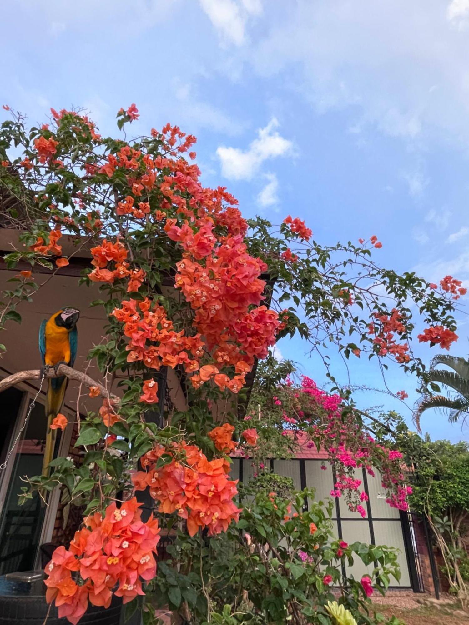 Krabilife Resort Ban Ko Kwang Buitenkant foto